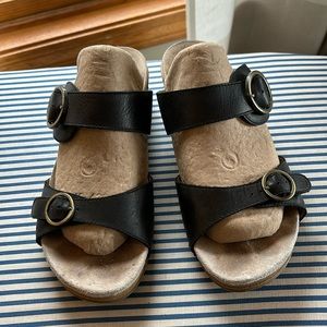 Dansko Double-strap Clogs